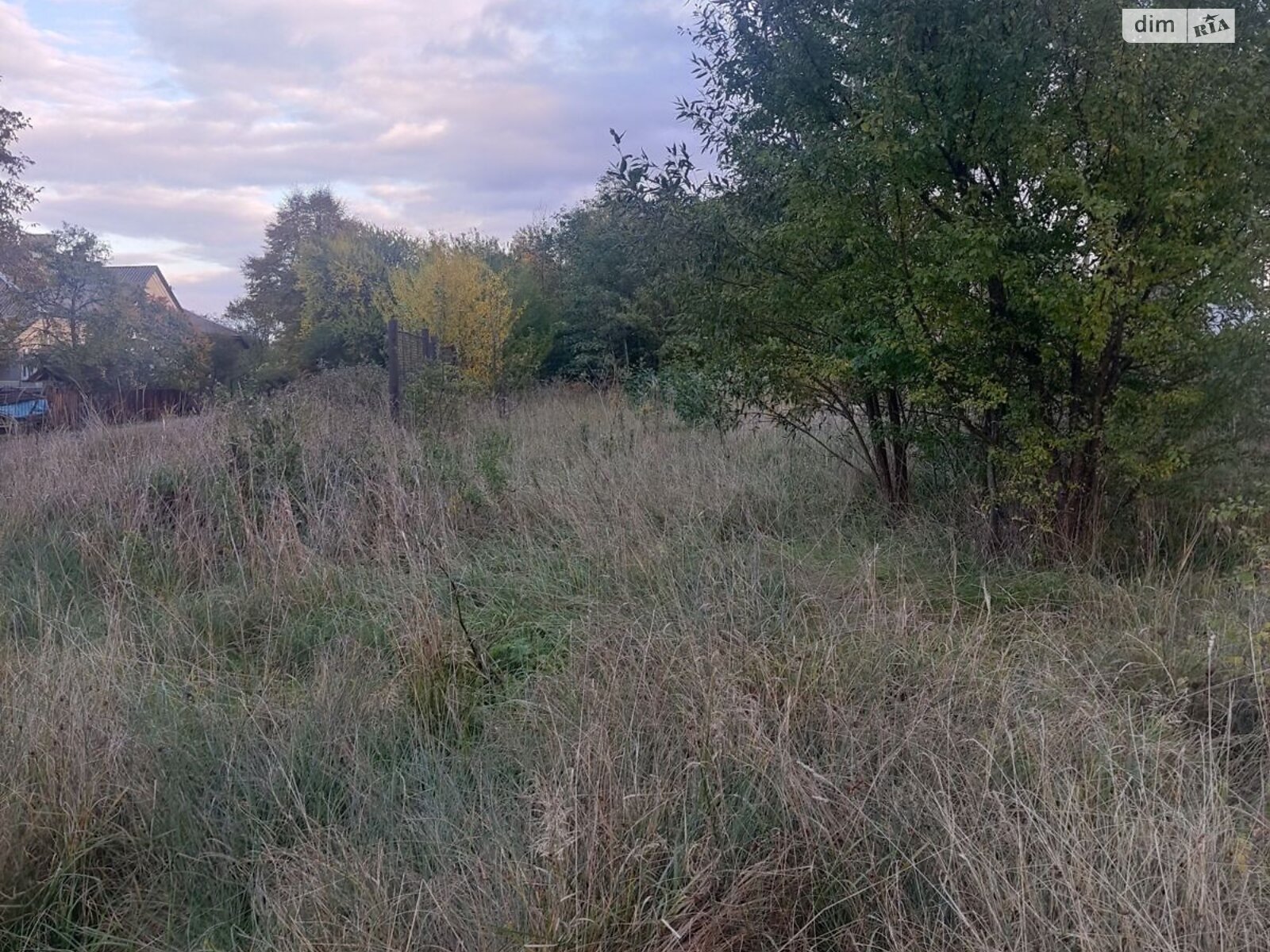 Оренда землі комерційного призначення в Долині, ціна: 5 214 грн за об’єкт фото 1