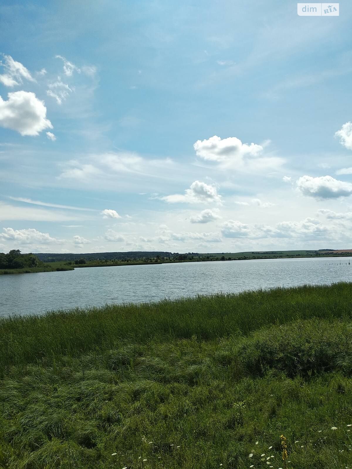 Оренда землі комерційного призначення в Дубище, ціна: 165 604 грн за об’єкт фото 2 Оренда землі комерційного призначення в Дубище, ціна: 165 604 грн за об’єкт фото 2