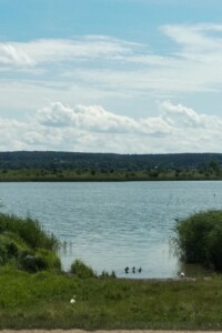 Оренда землі комерційного призначення в Дубище, ціна: 165 604 грн за об’єкт фото 3