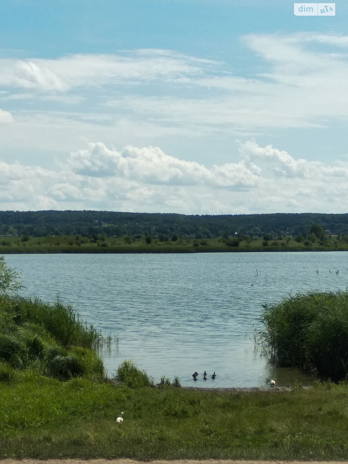 Оренда землі комерційного призначення в Дубище, ціна: 165 604 грн за об’єкт фото 2 Оренда землі комерційного призначення в Дубище, ціна: 165 604 грн за об’єкт фото 2