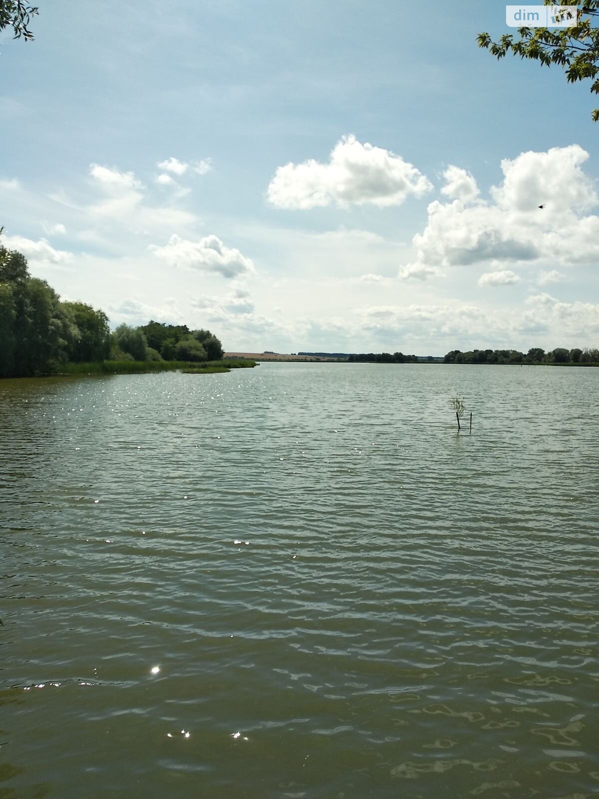 Оренда землі комерційного призначення в Дубище, ціна: 165 604 грн за об’єкт фото 2 Оренда землі комерційного призначення в Дубище, ціна: 165 604 грн за об’єкт фото 2