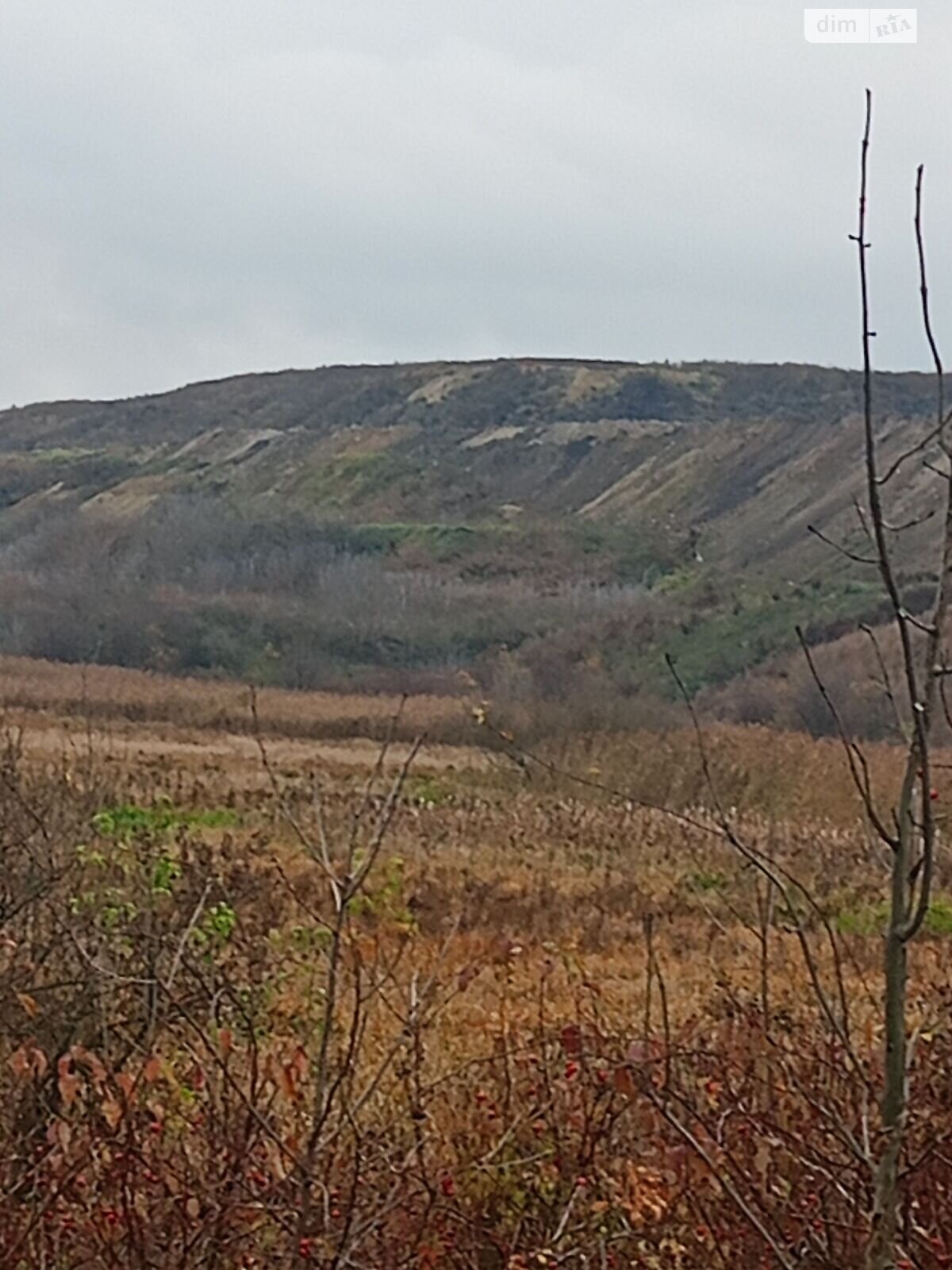 Аренда земли коммерческого назначения в Городке, цена: 387 890 грн за объект фото 1 Аренда земли коммерческого назначения в Городке, цена: 387 890 грн за объект фото 1
