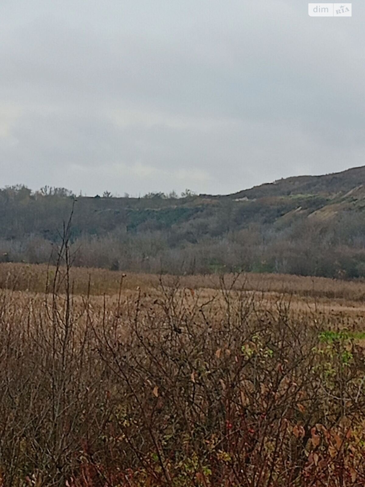 Аренда земли коммерческого назначения в Городке, цена: 387 890 грн за объект фото 1 Аренда земли коммерческого назначения в Городке, цена: 387 890 грн за объект фото 1