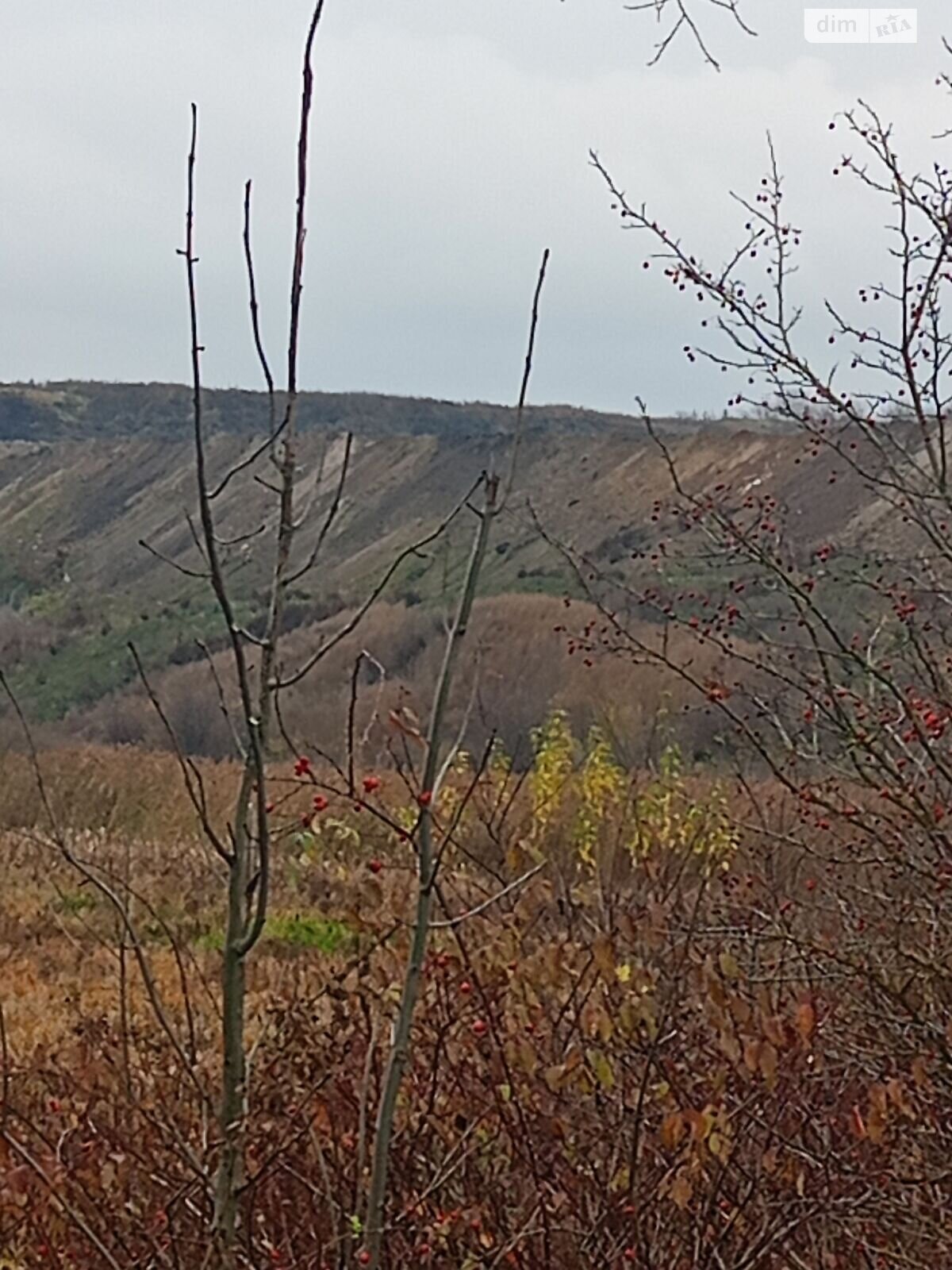 Аренда земли коммерческого назначения в Городке, цена: 387 890 грн за объект фото 1 Аренда земли коммерческого назначения в Городке, цена: 387 890 грн за объект фото 1