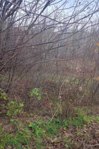 Оренда землі комерційного призначення в Городку, ціна: 207 171 грн за об’єкт фото 2