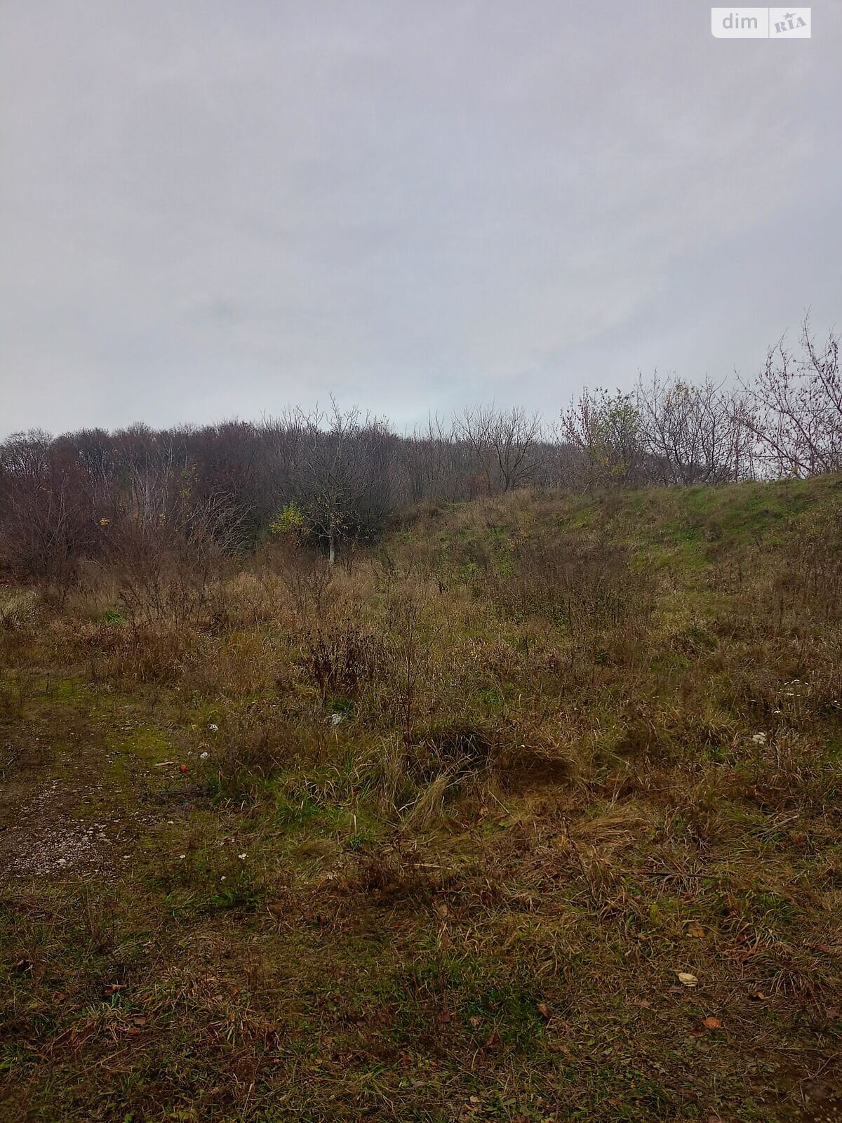 Оренда землі комерційного призначення в Городку, ціна: 207 171 грн за об’єкт фото 1