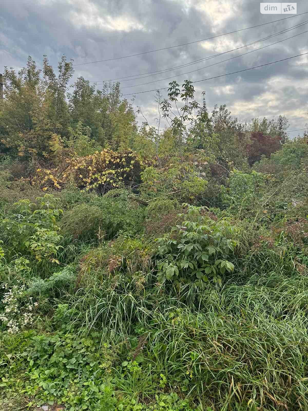 Аренда земли коммерческого назначения в Гоще, цена: 20 696 грн за объект фото 1 Аренда земли коммерческого назначения в Гоще, цена: 20 696 грн за объект фото 1