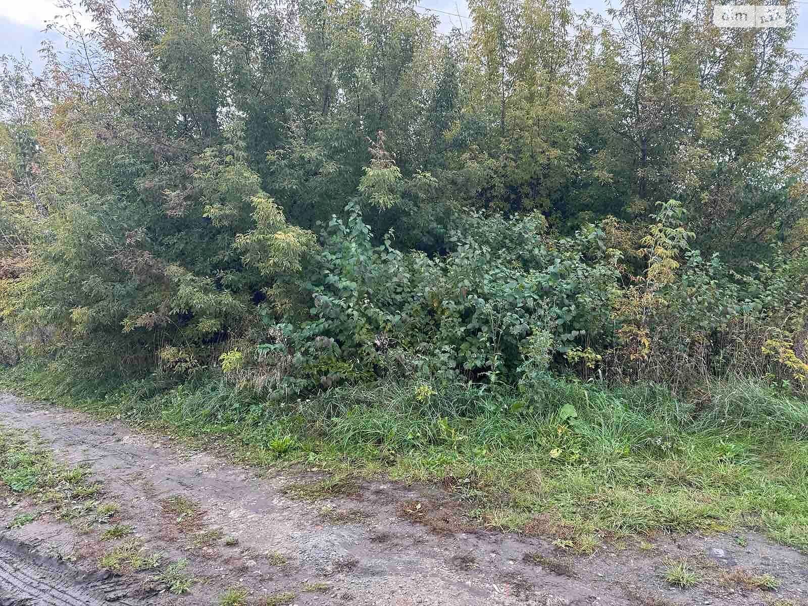 Аренда земли коммерческого назначения в Гоще, цена: 20 696 грн за объект фото 1 Аренда земли коммерческого назначения в Гоще, цена: 20 696 грн за объект фото 1