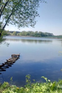 Аренда земли коммерческого назначения в Грузском, цена: 9 654 грн за объект фото 1 Аренда земли коммерческого назначения в Грузском, цена: 9 654 грн за объект фото 1