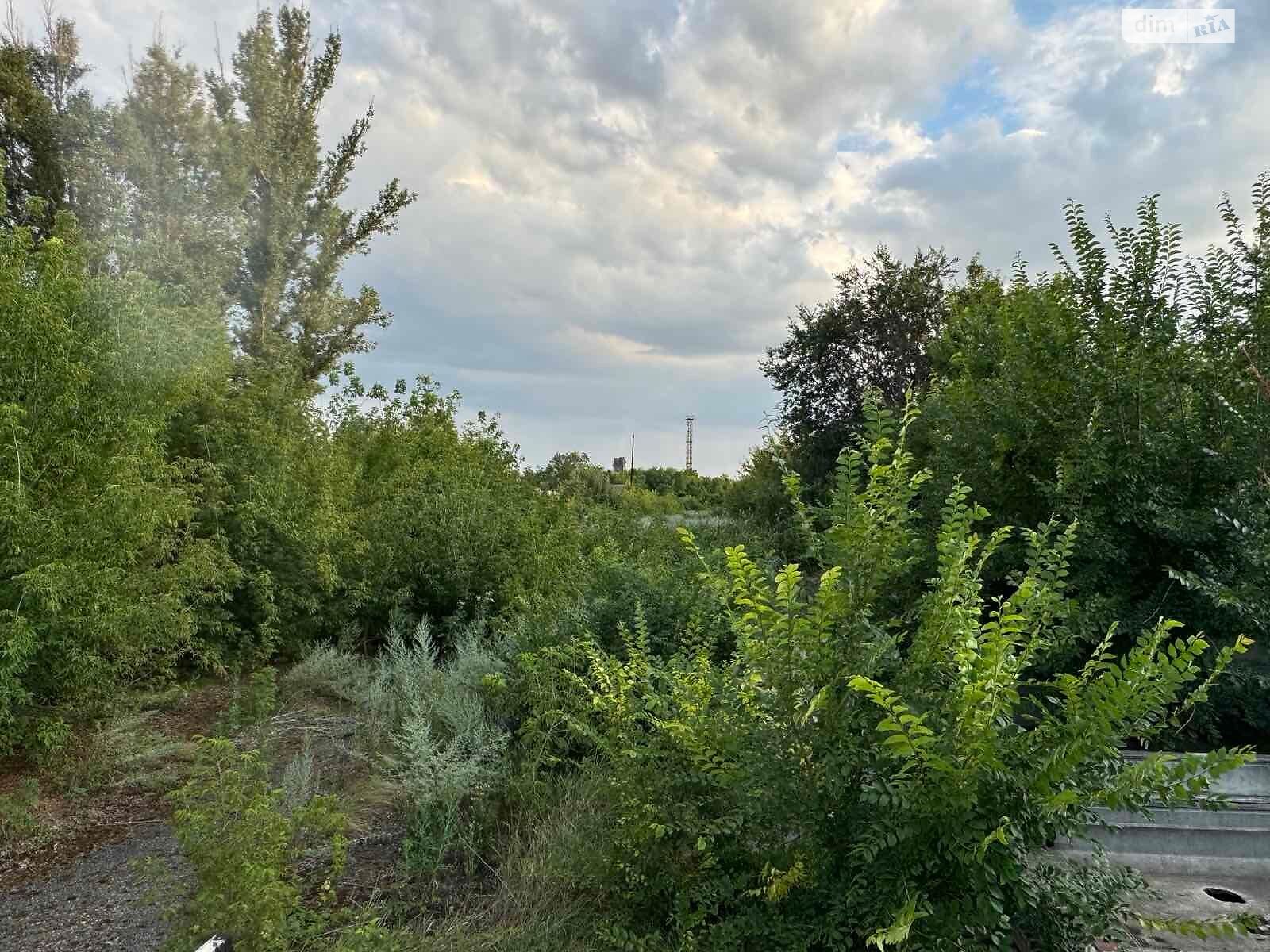 Аренда земли коммерческого назначения в Губинихе, цена: 1 473 244 грн за объект фото 1