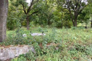 Оренда землі комерційного призначення в Киковій, ціна: 7 528 грн за об’єкт фото 1