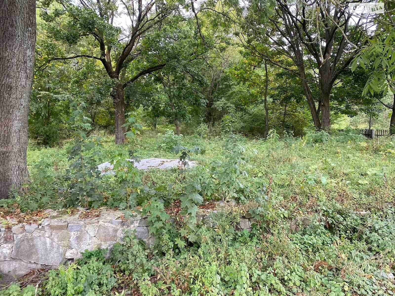 Оренда землі комерційного призначення в Киковій, ціна: 7 528 грн за об’єкт фото 1