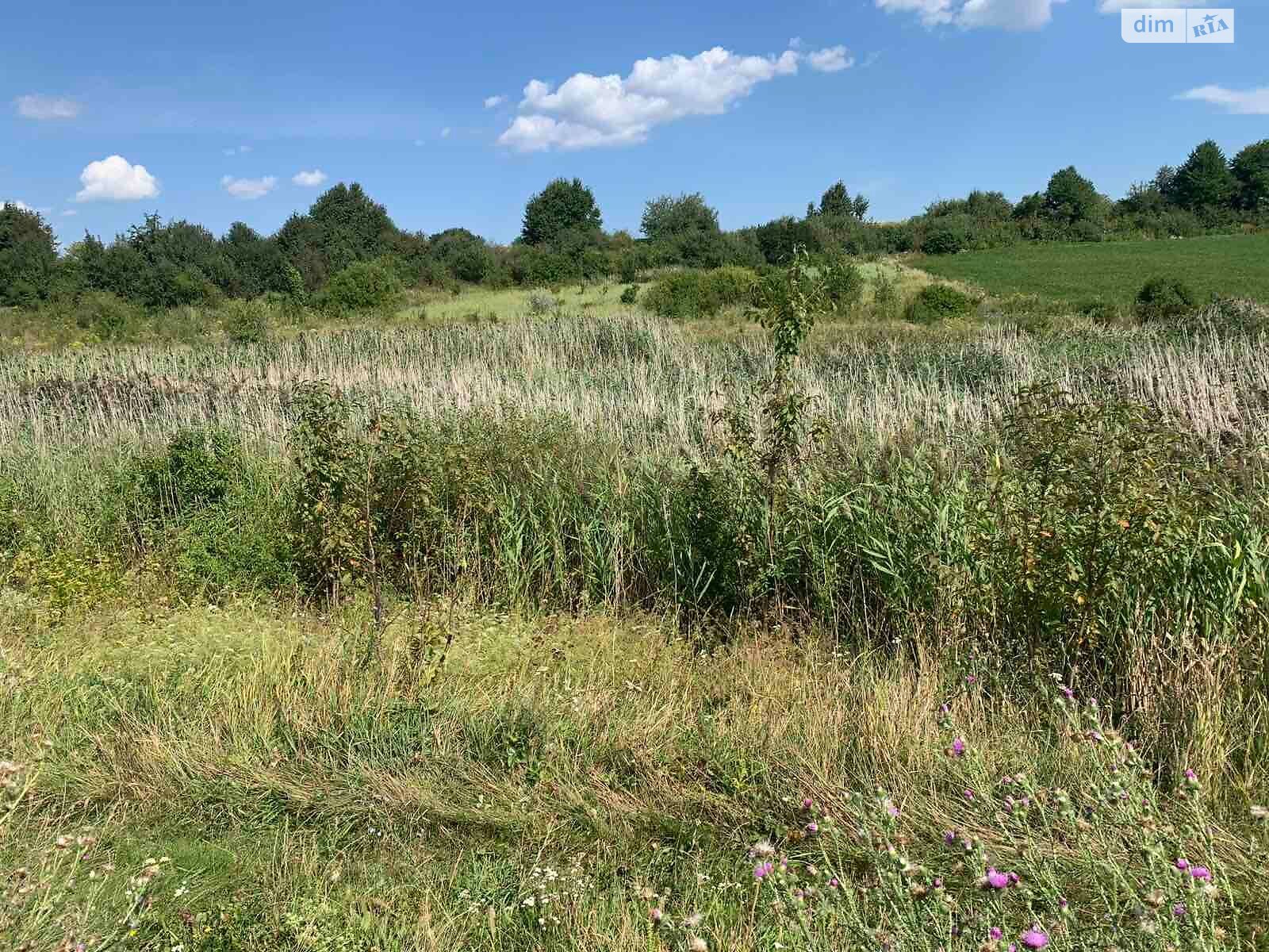 Оренда землі комерційного призначення в Комарові, ціна: 835 грн за об’єкт фото 1