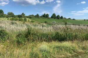 Оренда землі комерційного призначення в Комарові, ціна: 835 грн за об’єкт фото 2