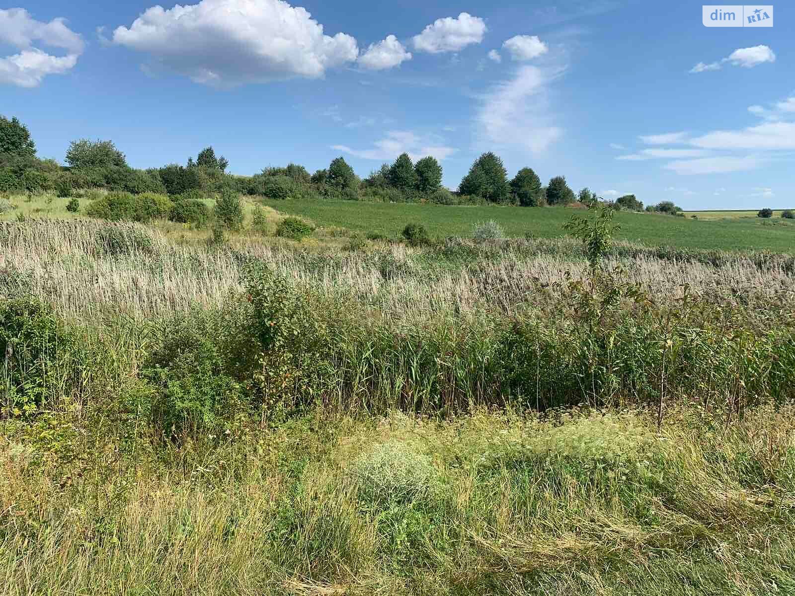 Оренда землі комерційного призначення в Комарові, ціна: 835 грн за об’єкт фото 1