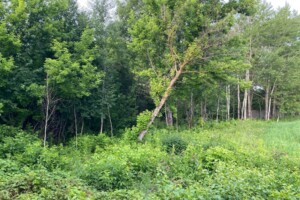 Оренда землі комерційного призначення в Корці, ціна: 207 455 грн за об’єкт фото 1 Оренда землі комерційного призначення в Корці, ціна: 207 455 грн за об’єкт фото 1