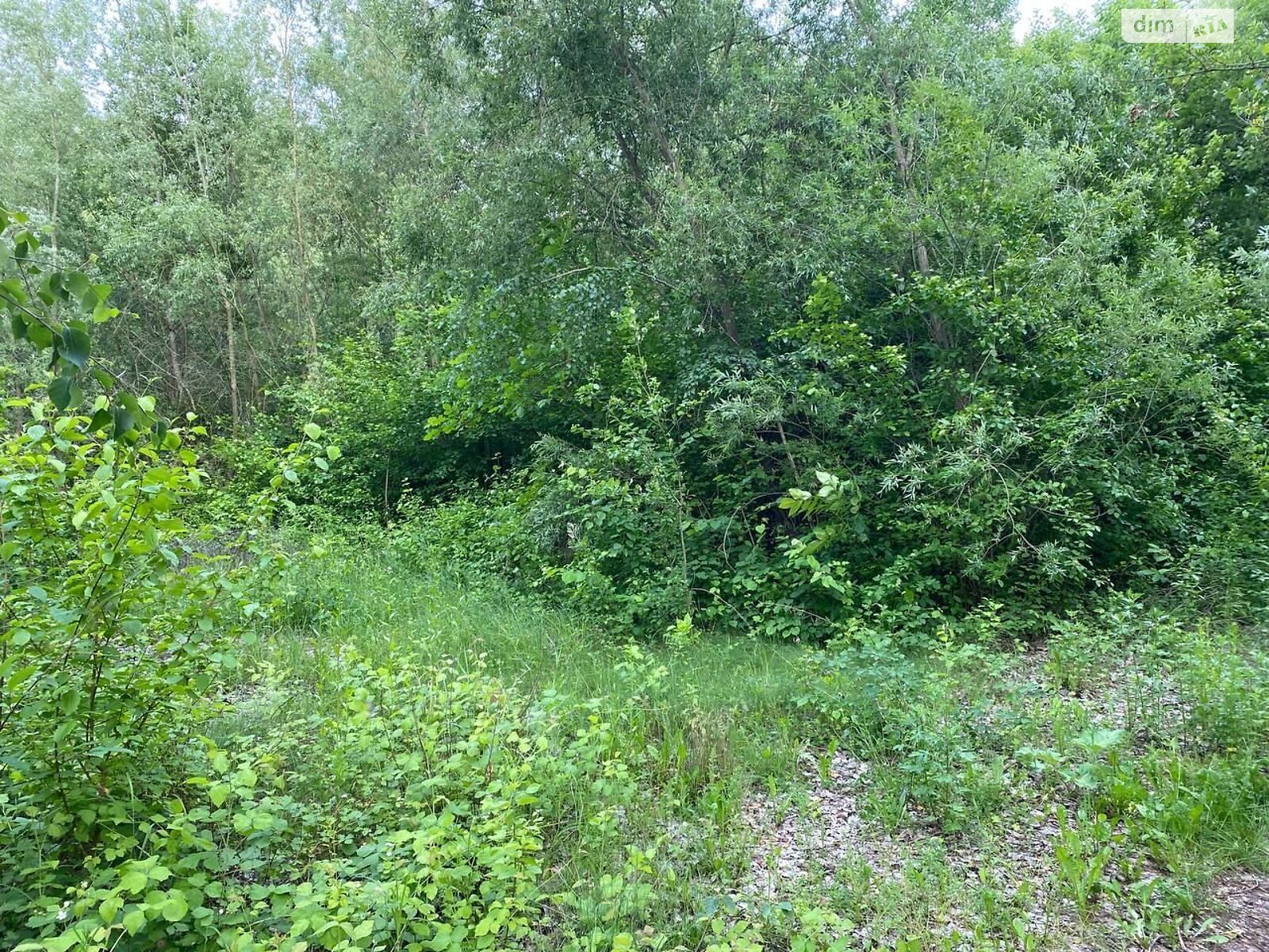 Оренда землі комерційного призначення в Корці, ціна: 207 455 грн за об’єкт фото 1 Оренда землі комерційного призначення в Корці, ціна: 207 455 грн за об’єкт фото 1