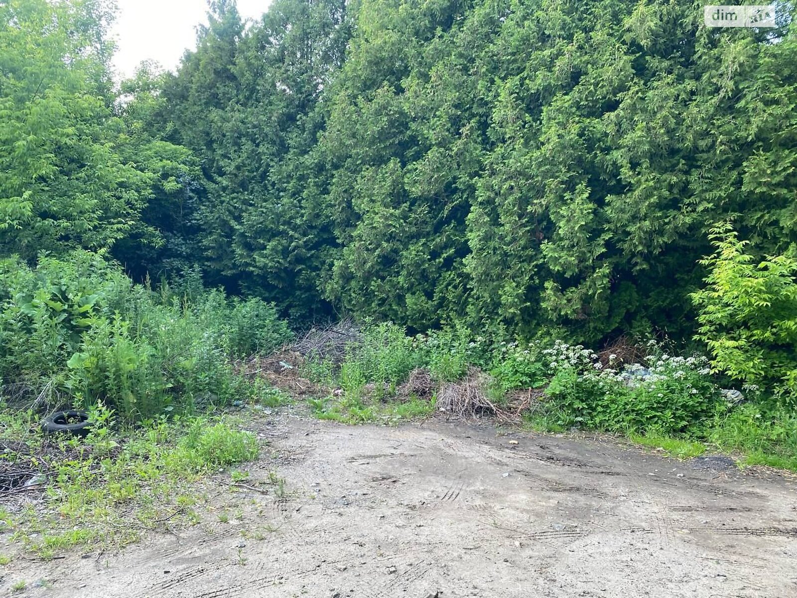 Оренда землі комерційного призначення в Корці, ціна: 201 432 грн за об’єкт фото 1