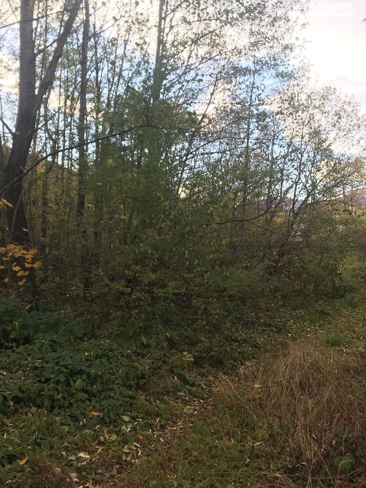 Аренда земли коммерческого назначения в Косове, цена: 19 115 грн за объект фото 1