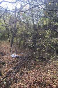 Аренда земли коммерческого назначения в Косове, цена: 19 115 грн за объект фото 2