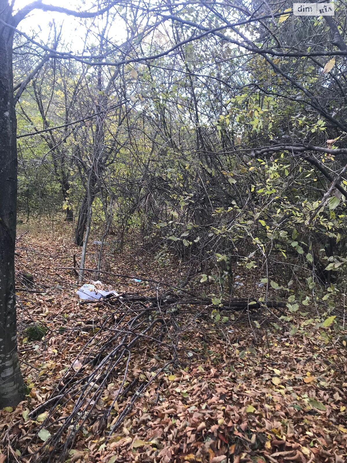 Аренда земли коммерческого назначения в Косове, цена: 19 115 грн за объект фото 1