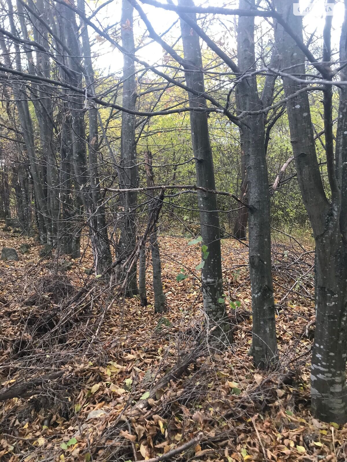 Аренда земли коммерческого назначения в Косове, цена: 19 115 грн за объект фото 1
