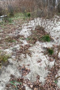 Оренда землі комерційного призначення в Козині, ціна: 22 грн за об’єкт фото 1