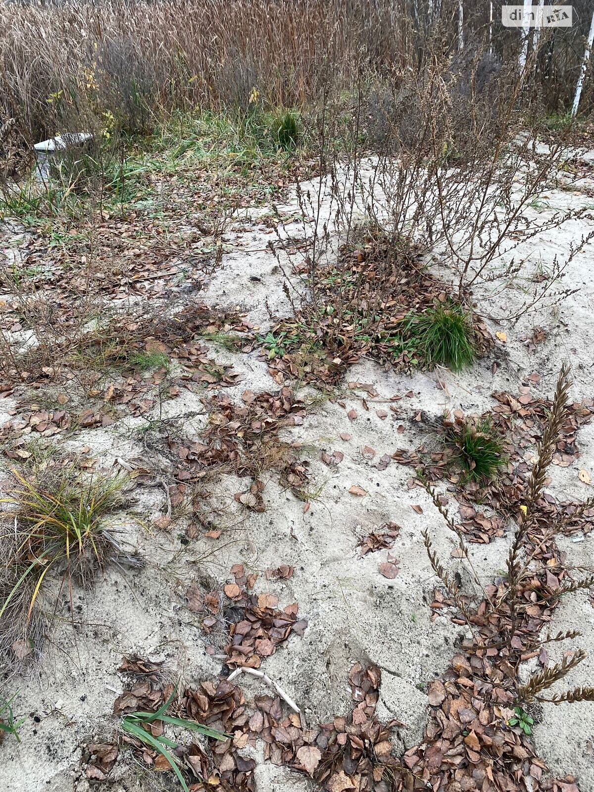 Оренда землі комерційного призначення в Козині, ціна: 22 грн за об’єкт фото 1