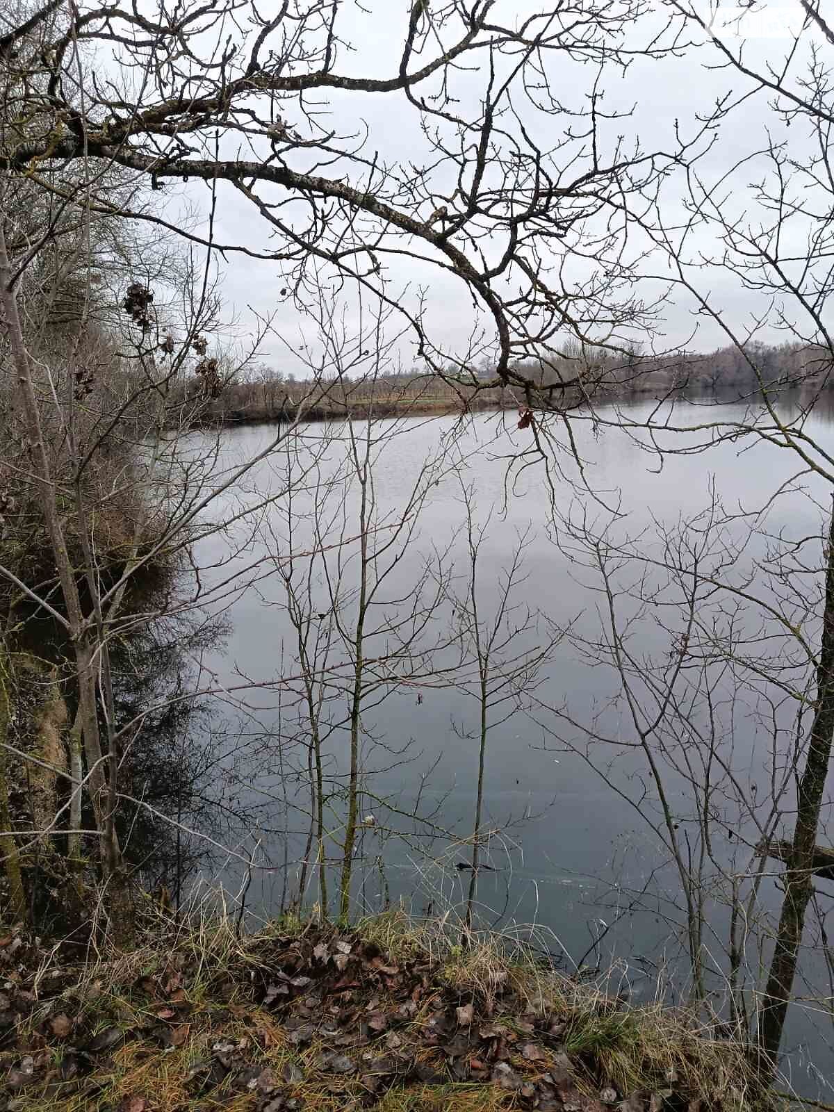 Оренда землі комерційного призначення в Краснопілці, ціна: 25 056 грн за об’єкт фото 1