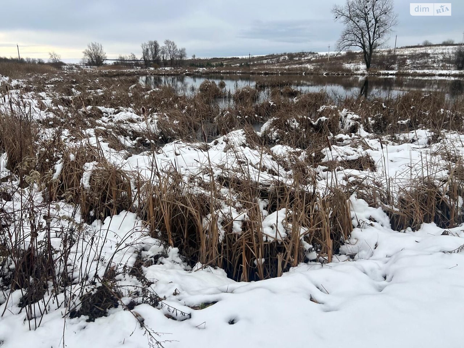 Аренда земли коммерческого назначения в Кротошине, цена: 8 700 грн за объект фото 1