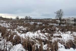 Аренда земли коммерческого назначения в Кротошине, цена: 8 700 грн за объект фото 2