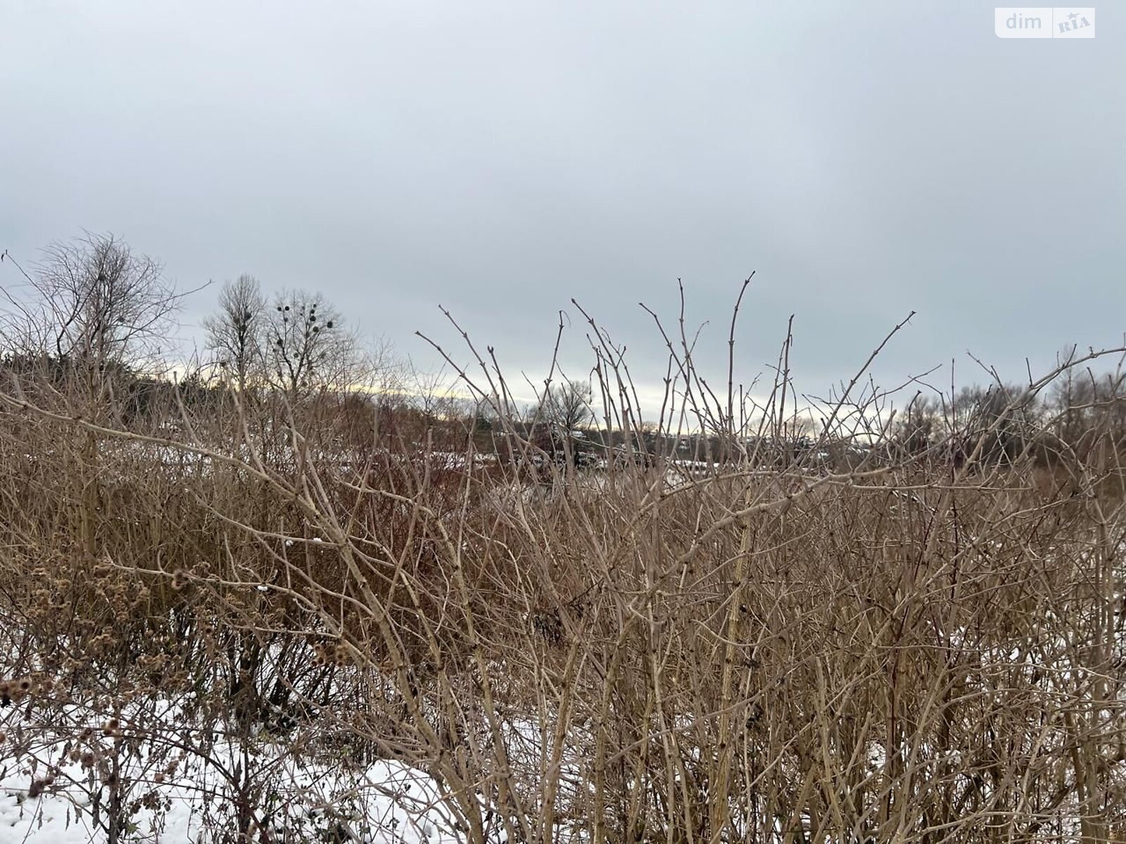 Аренда земли коммерческого назначения в Кротошине, цена: 8 700 грн за объект фото 1