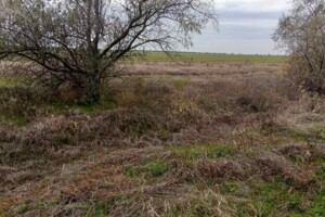 Оренда землі комерційного призначення в Ларжанці, ціна: 224 942 грн за об’єкт фото 2