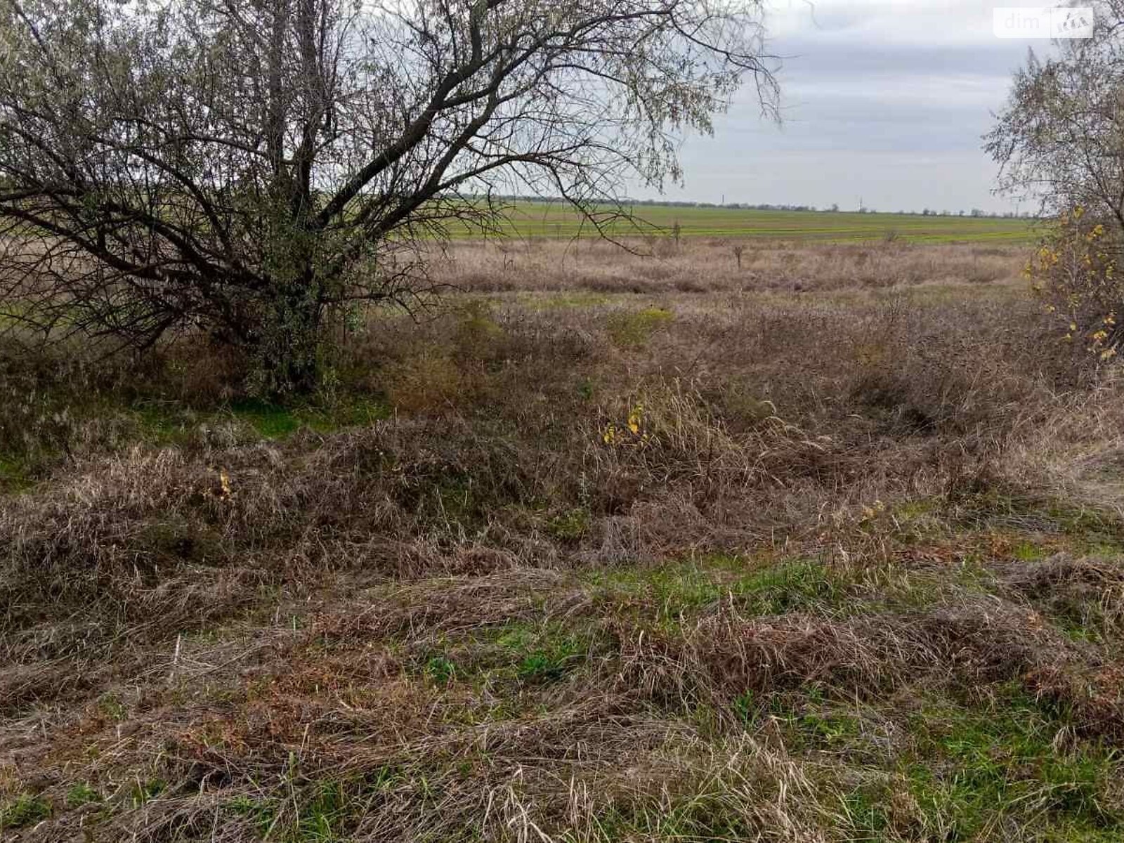 Оренда землі комерційного призначення в Ларжанці, ціна: 224 942 грн за об’єкт фото 1