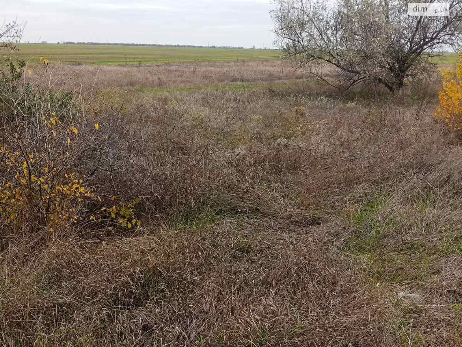 Оренда землі комерційного призначення в Ларжанці, ціна: 224 942 грн за об’єкт фото 1