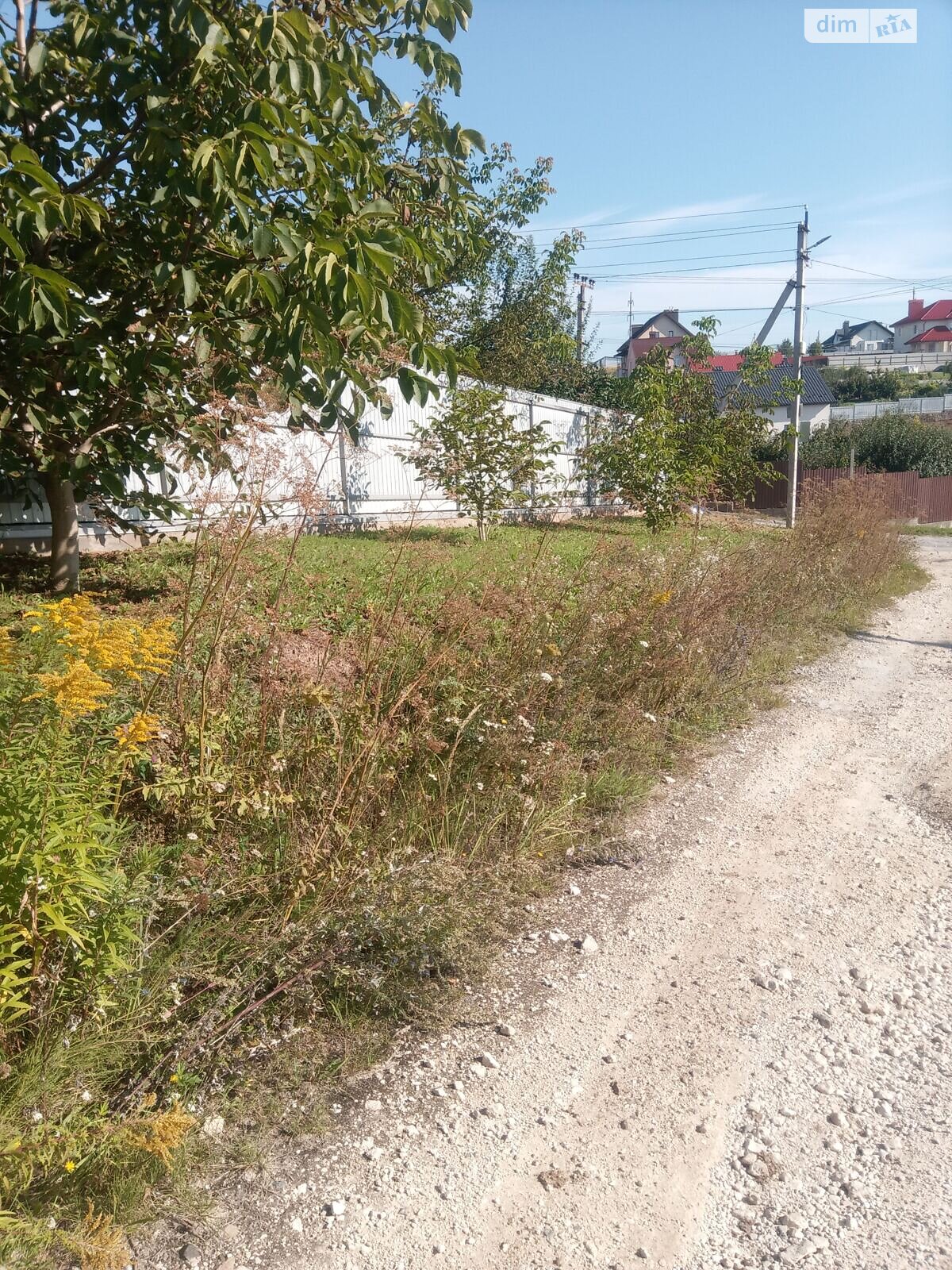 Аренда земли коммерческого назначения в Лесовых Гриновцах, цена: 1 773 грн за объект фото 1 Аренда земли коммерческого назначения в Лесовых Гриновцах, цена: 1 773 грн за объект фото 1