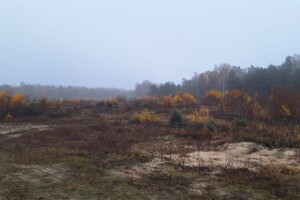 Аренда земли коммерческого назначения в Любомле, цена: 342 928 грн за объект фото 2 Аренда земли коммерческого назначения в Любомле, цена: 342 928 грн за объект фото 2