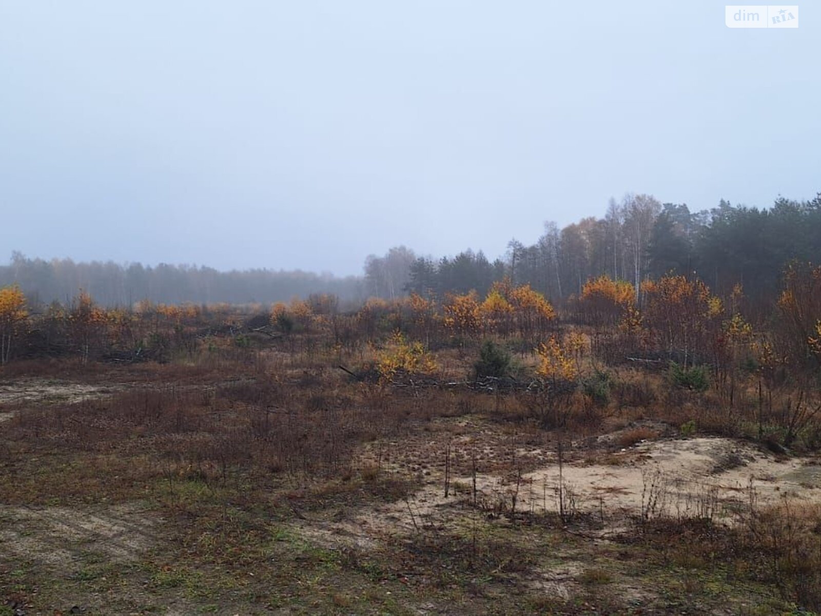 Аренда земли коммерческого назначения в Любомле, цена: 342 928 грн за объект фото 1 Аренда земли коммерческого назначения в Любомле, цена: 342 928 грн за объект фото 1