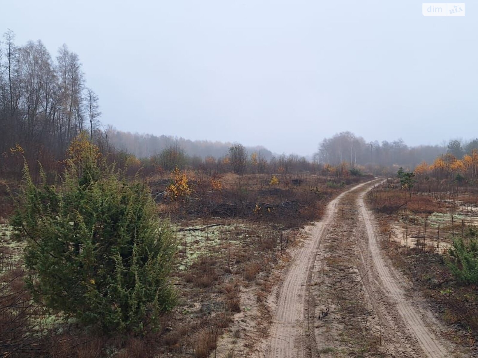 Аренда земли коммерческого назначения в Любомле, цена: 342 928 грн за объект фото 1 Аренда земли коммерческого назначения в Любомле, цена: 342 928 грн за объект фото 1