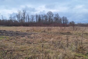 Аренда земли коммерческого назначения в Любомле, цена: 156 262 грн за объект фото 1