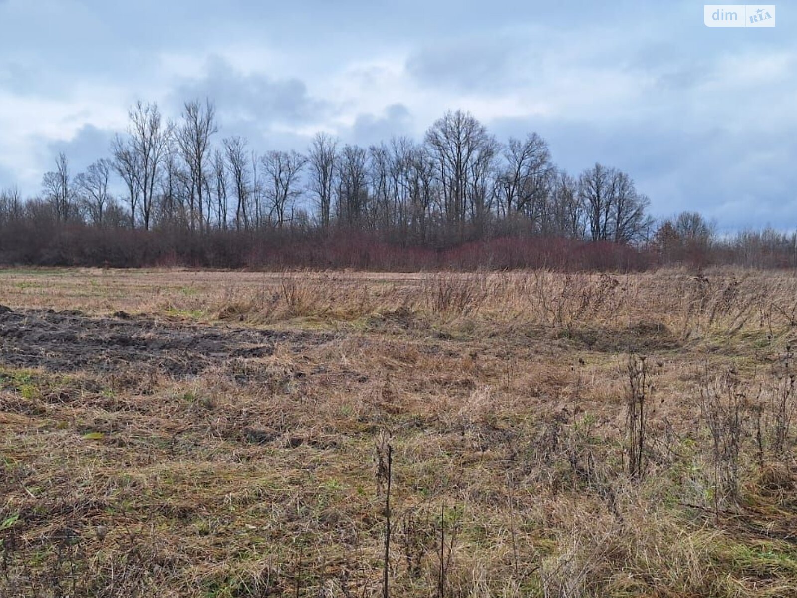 Аренда земли коммерческого назначения в Любомле, цена: 156 262 грн за объект фото 1
