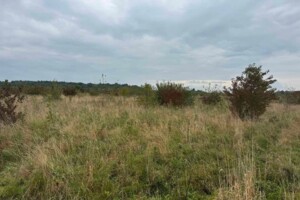 Оренда землі комерційного призначення в Містках, ціна: 373 592 грн за об’єкт фото 2