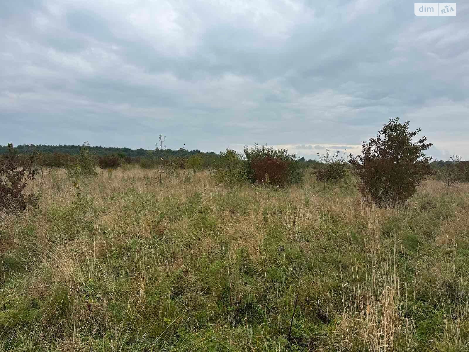 Оренда землі комерційного призначення в Містках, ціна: 373 592 грн за об’єкт фото 1