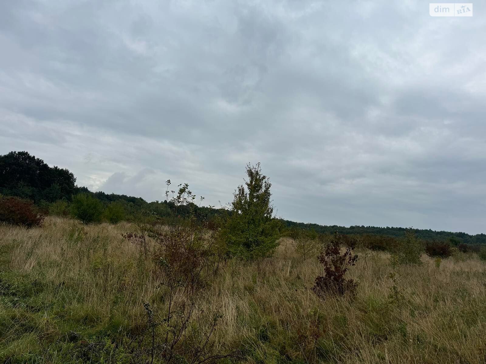 Оренда землі комерційного призначення в Містках, ціна: 373 592 грн за об’єкт фото 1