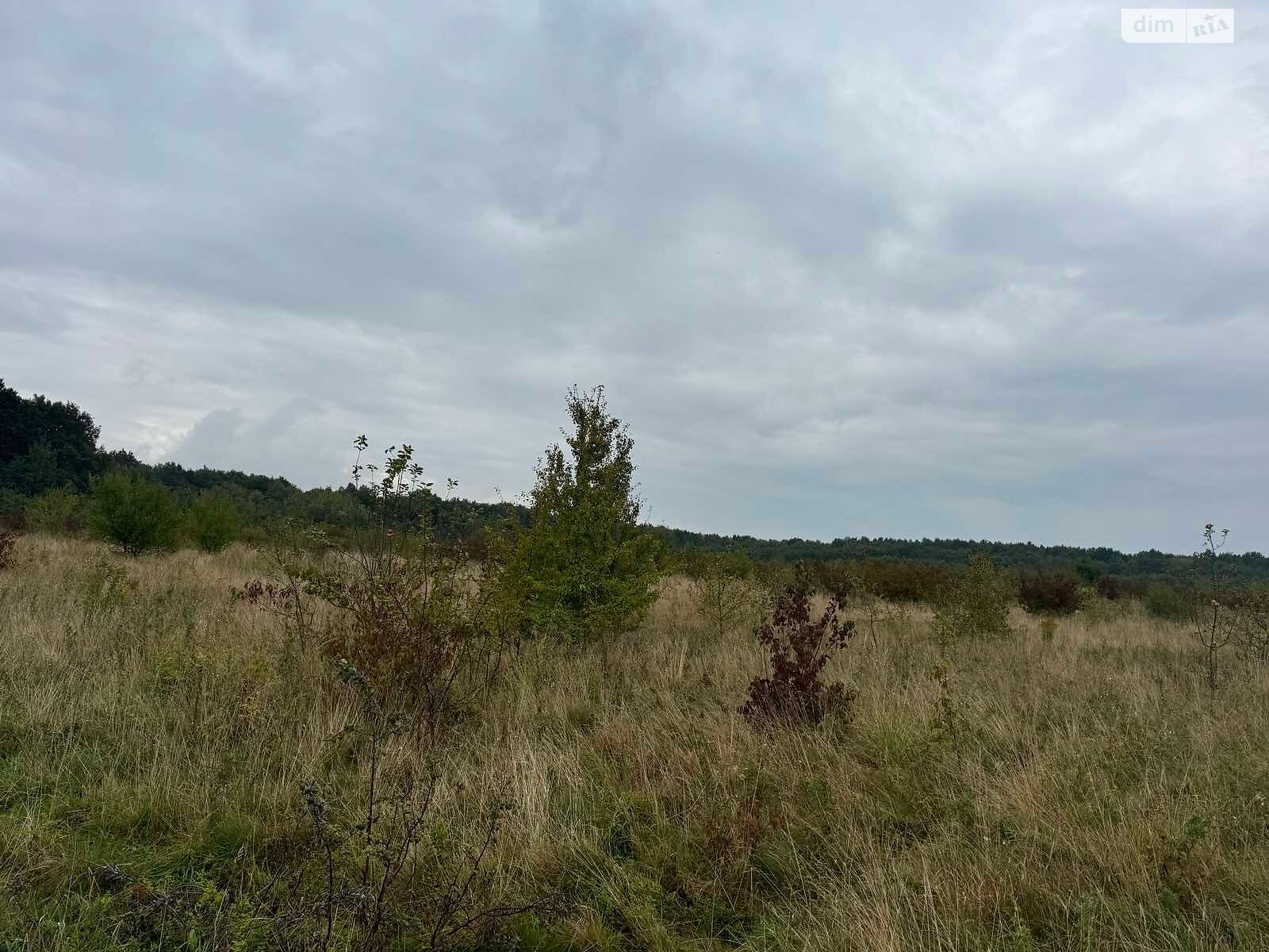 Оренда землі комерційного призначення в Містках, ціна: 373 592 грн за об’єкт фото 1