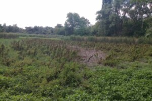 Оренда землі комерційного призначення в Наливайці, ціна: 6 061 грн за об’єкт фото 1