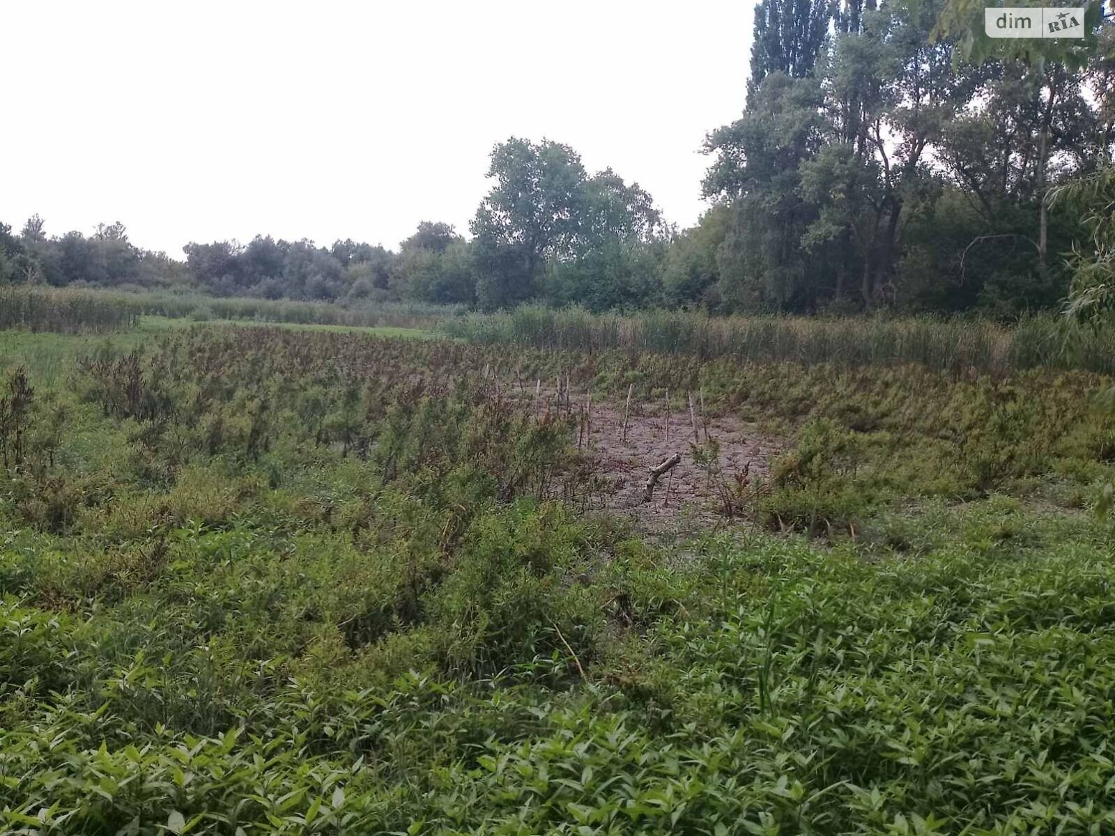 Оренда землі комерційного призначення в Наливайці, ціна: 6 061 грн за об’єкт фото 1