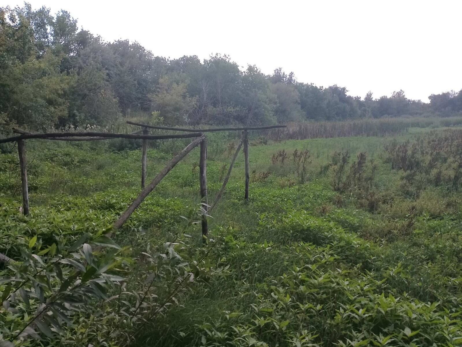 Оренда землі комерційного призначення в Наливайці, ціна: 6 061 грн за об’єкт фото 1