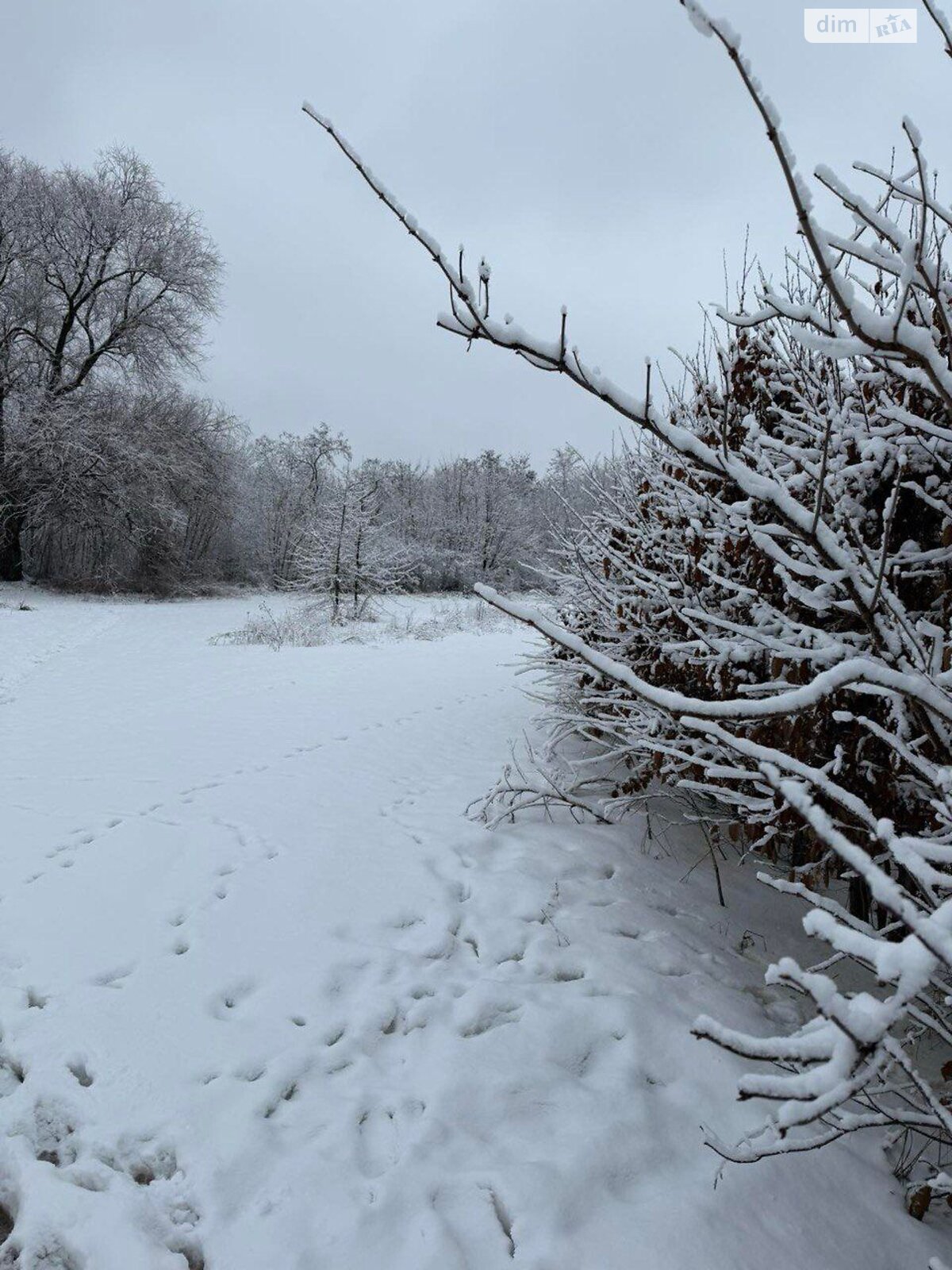 Аренда земли коммерческого назначения в Нижнем Вербиже, цена: 5 281 грн за объект фото 1