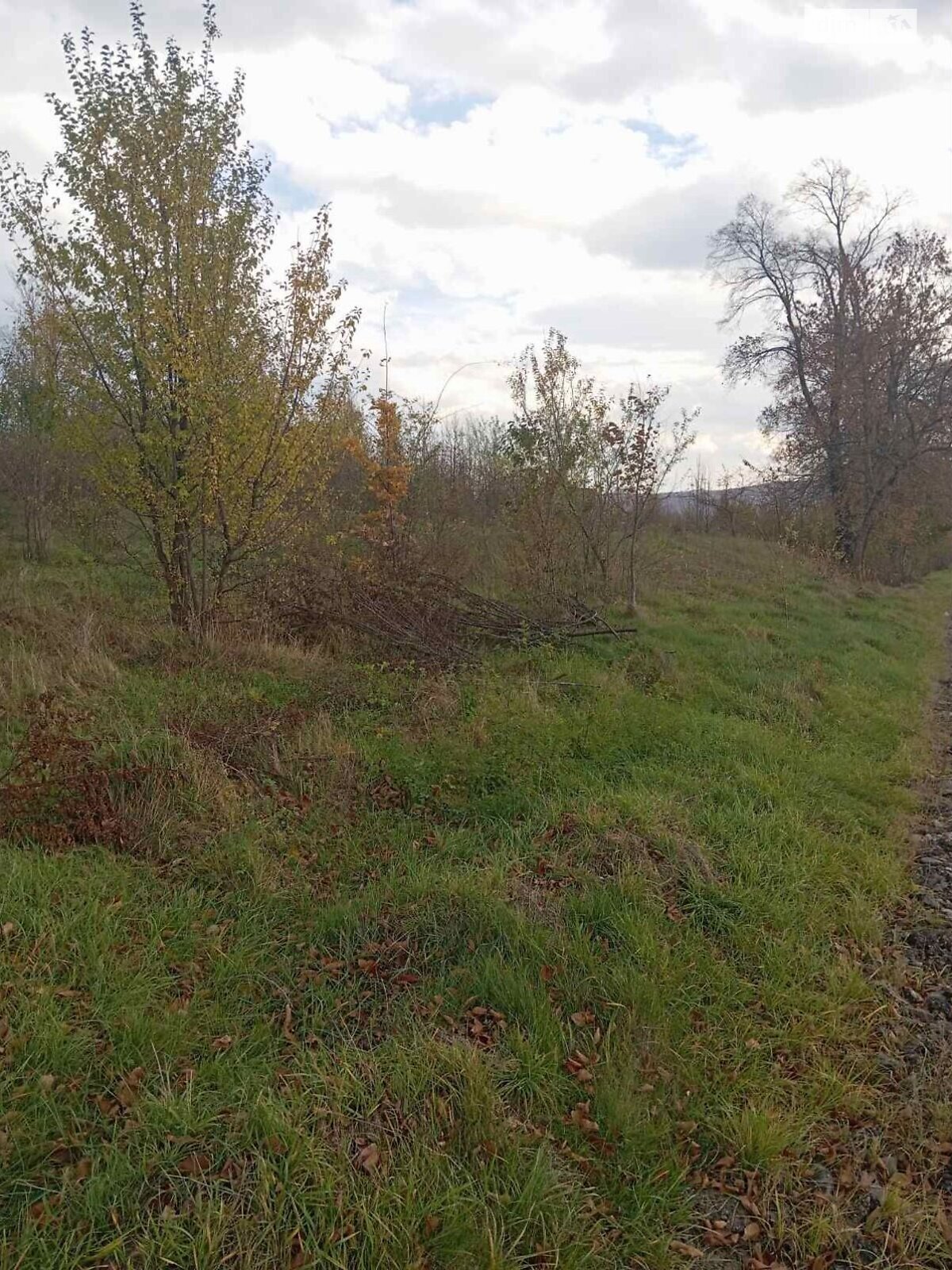 Аренда земли коммерческого назначения в Нижней Стинаве, цена: 97 594 грн за объект фото 1